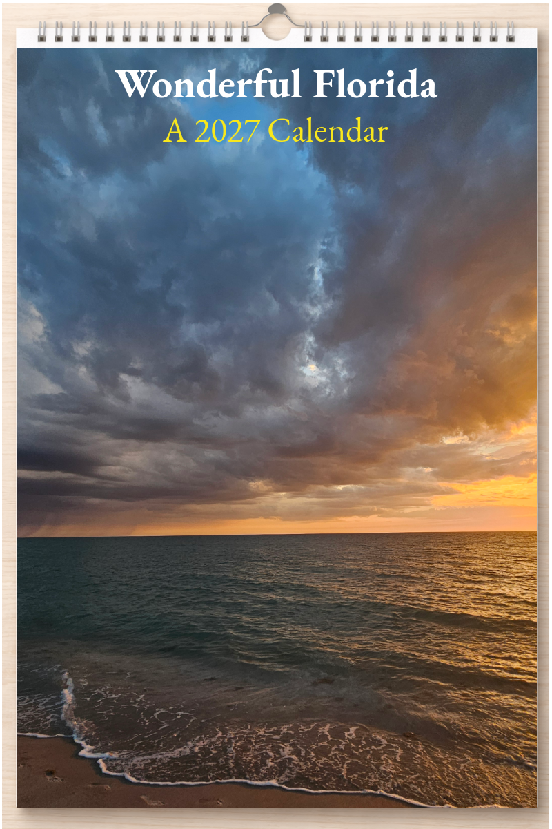 Wonderful Florida: A 2027 Calendar