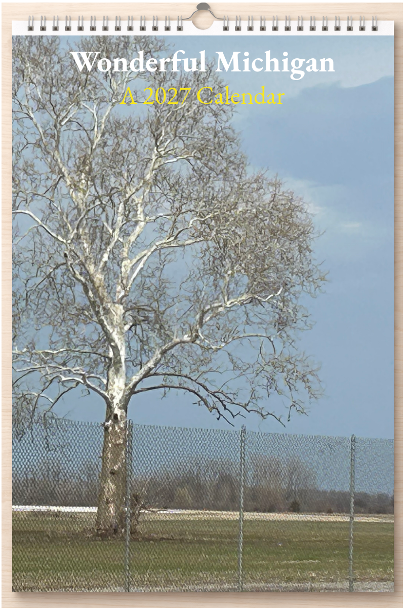 Wonderful Michigan: A 2027 Calendar