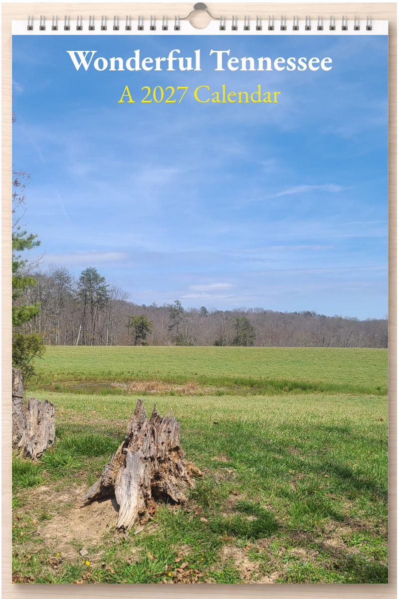 Wonderful Tennessee: A 2027 Calendar