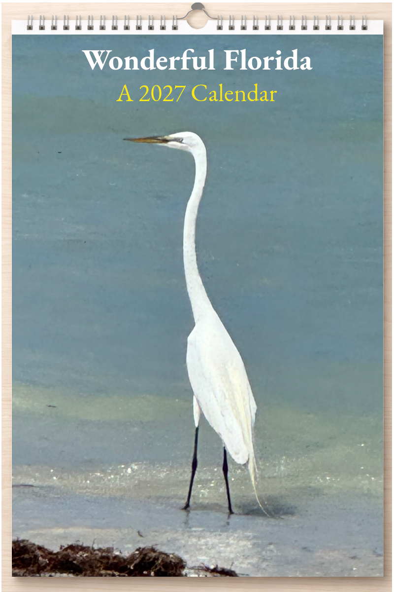 Wonderful Florida: A 2027 Calendar