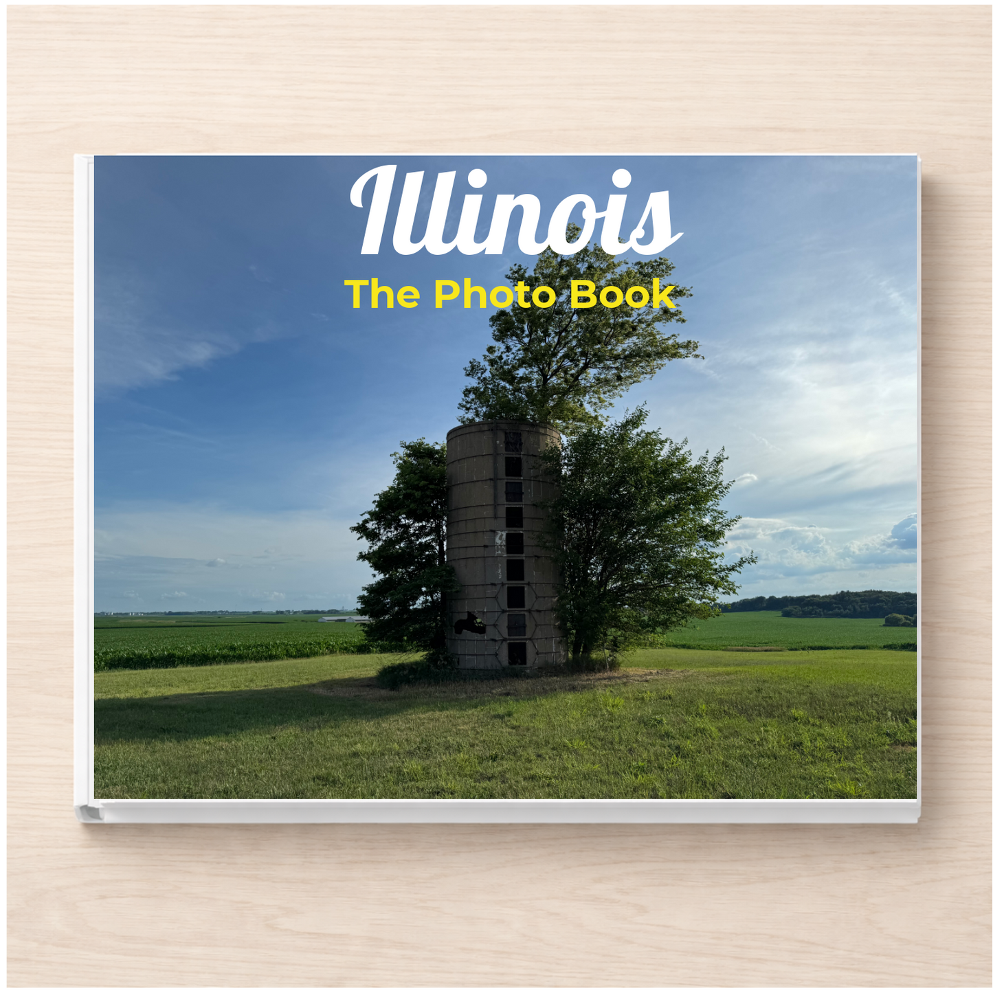 Illinois: The Photo Book