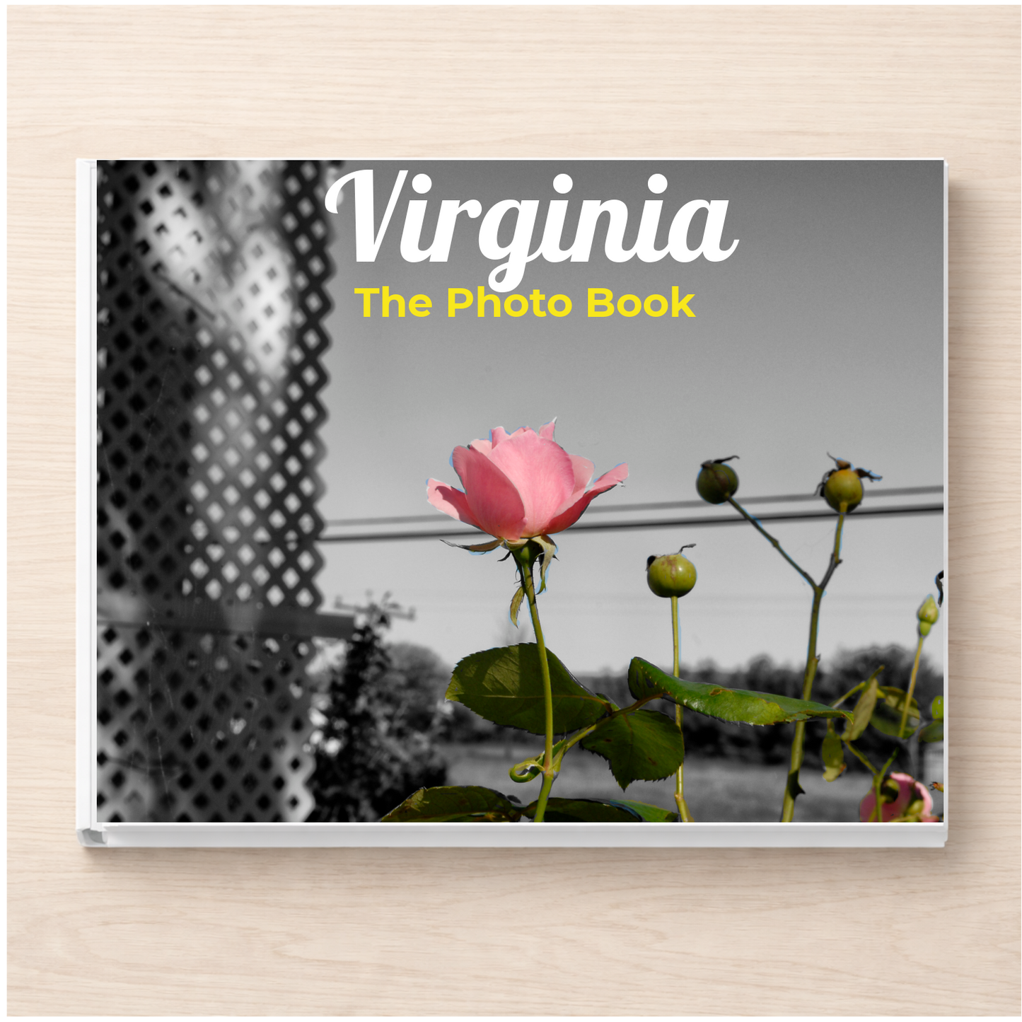 Virginia: The Photo Book