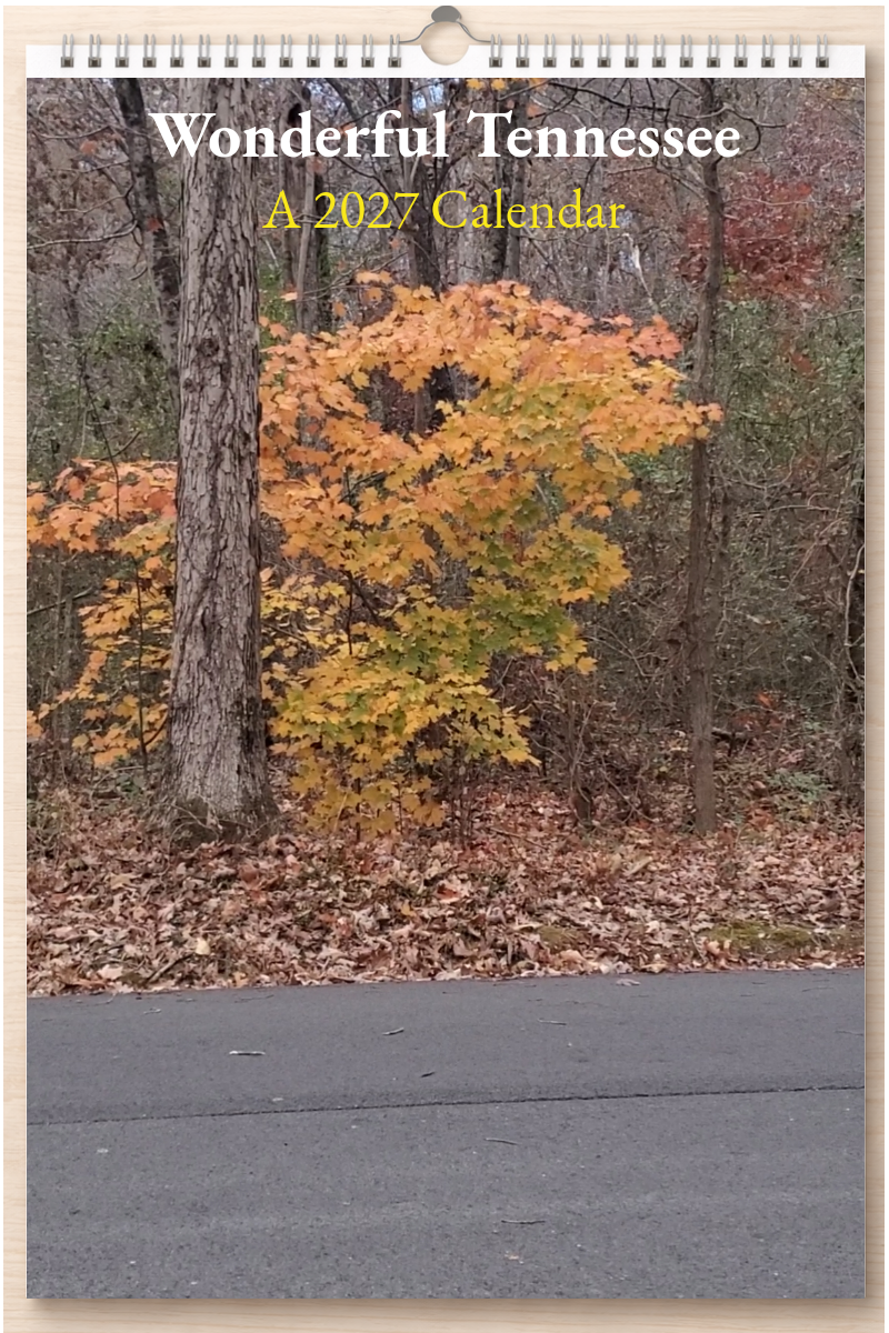Wonderful Tennessee: A 2027 Calendar