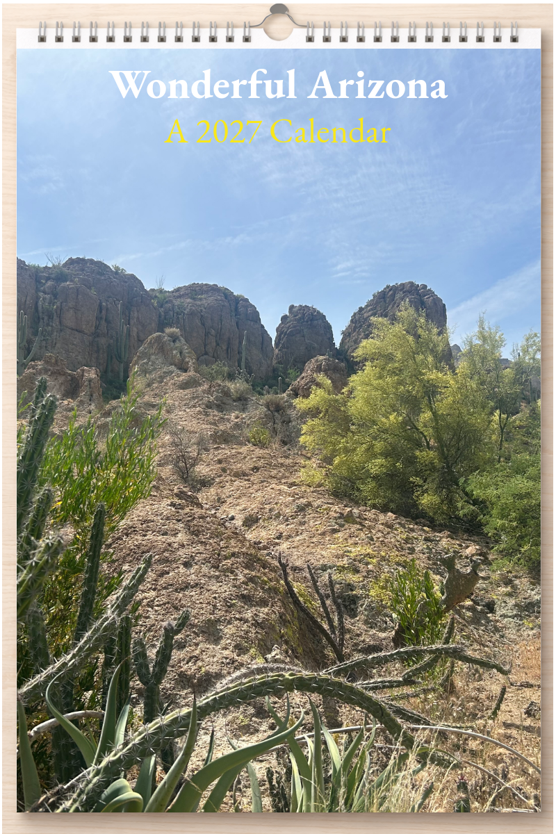 Wonderful Arizona: A 2027 Calendar