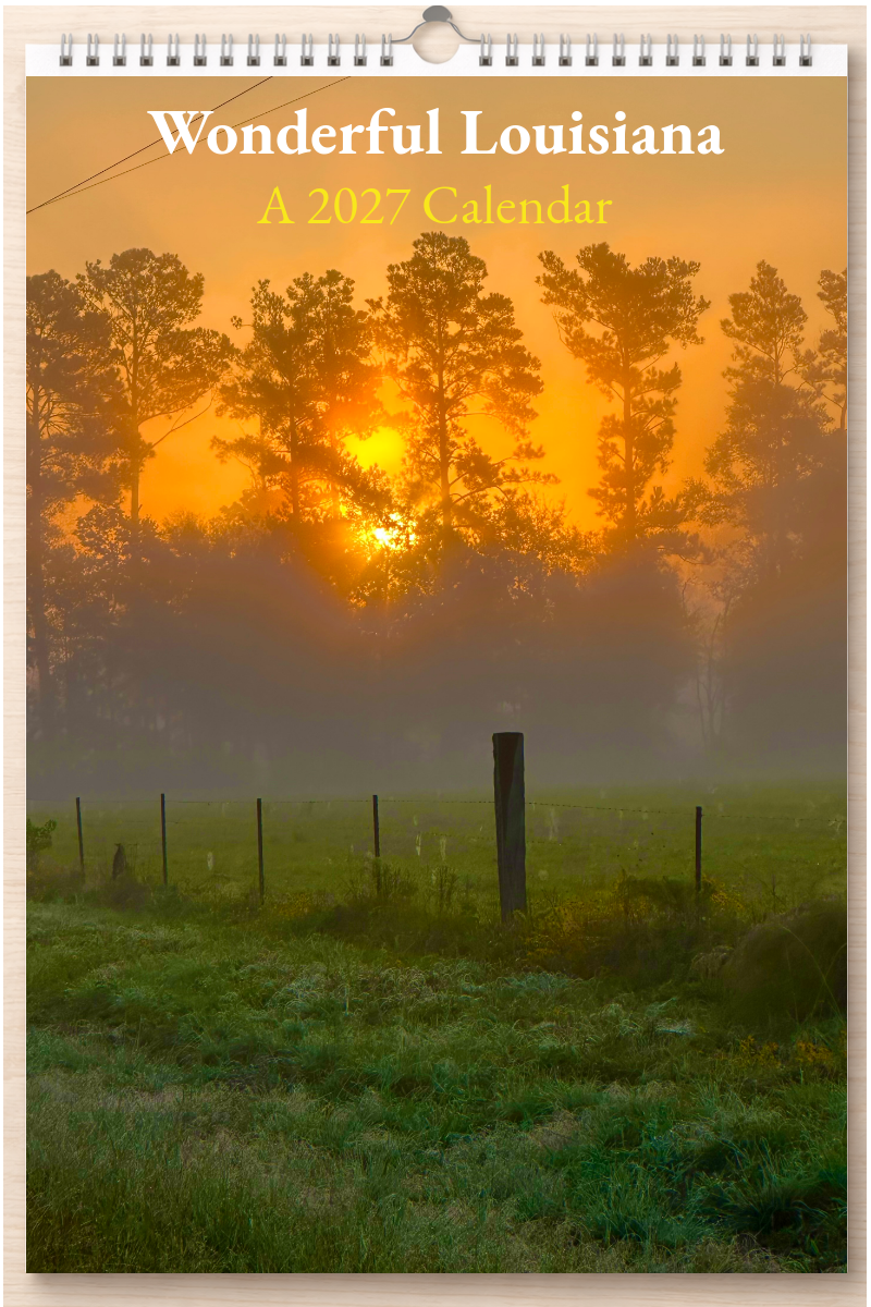 Wonderful Louisiana: A 2027 Calendar