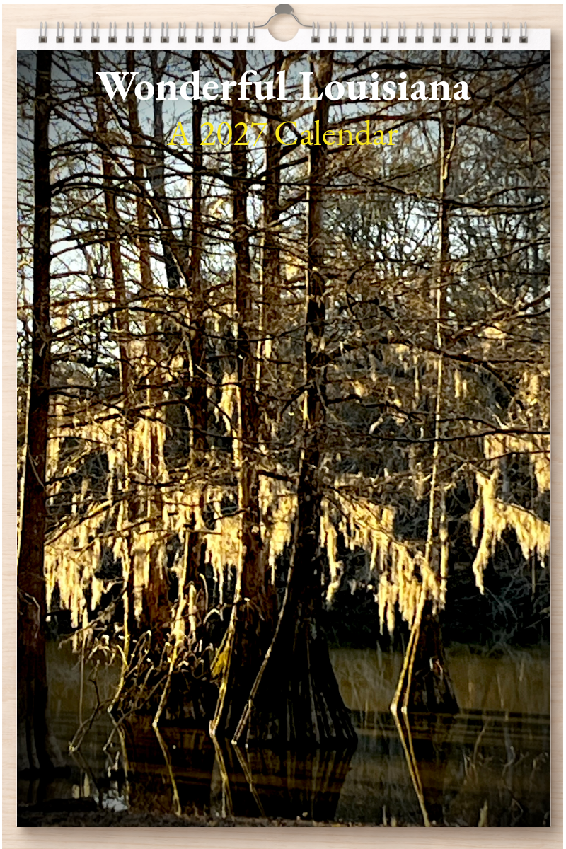 Wonderful Louisiana: A 2027 Calendar