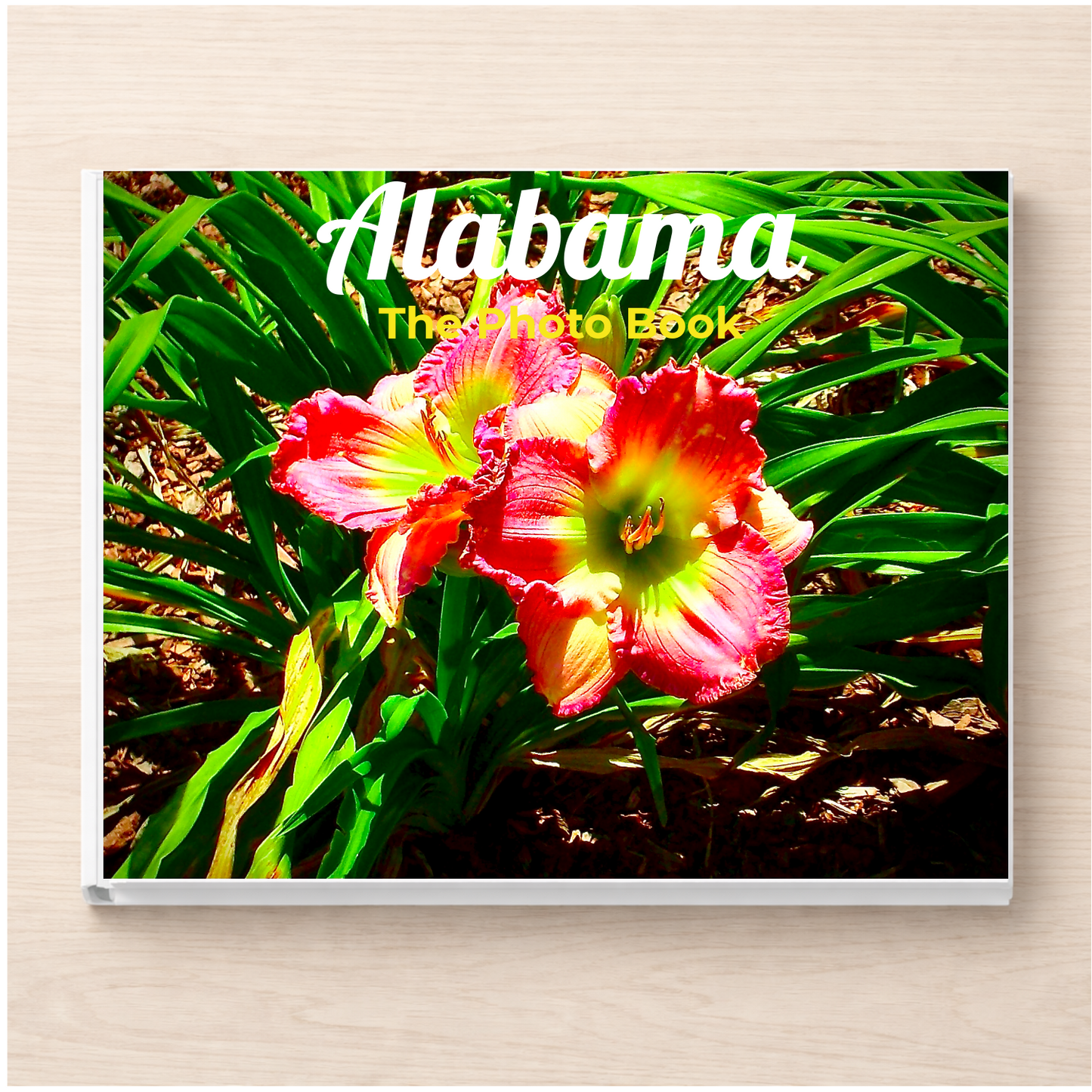 Alabama: The Photo Book