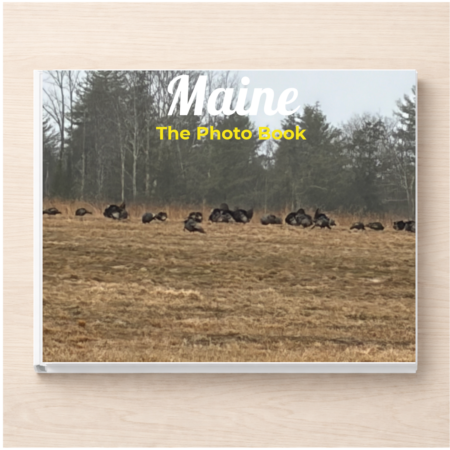 Maine: The Photo Book