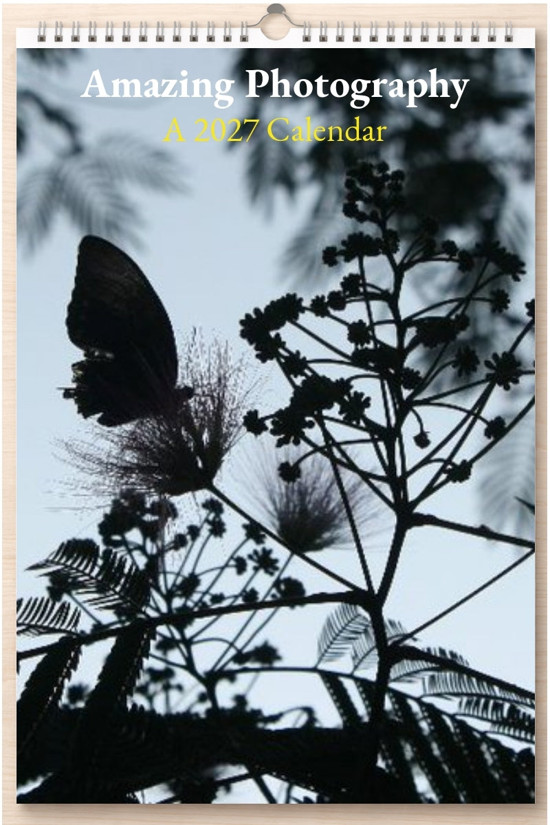 Amazing Photography: A 2027 Calendar