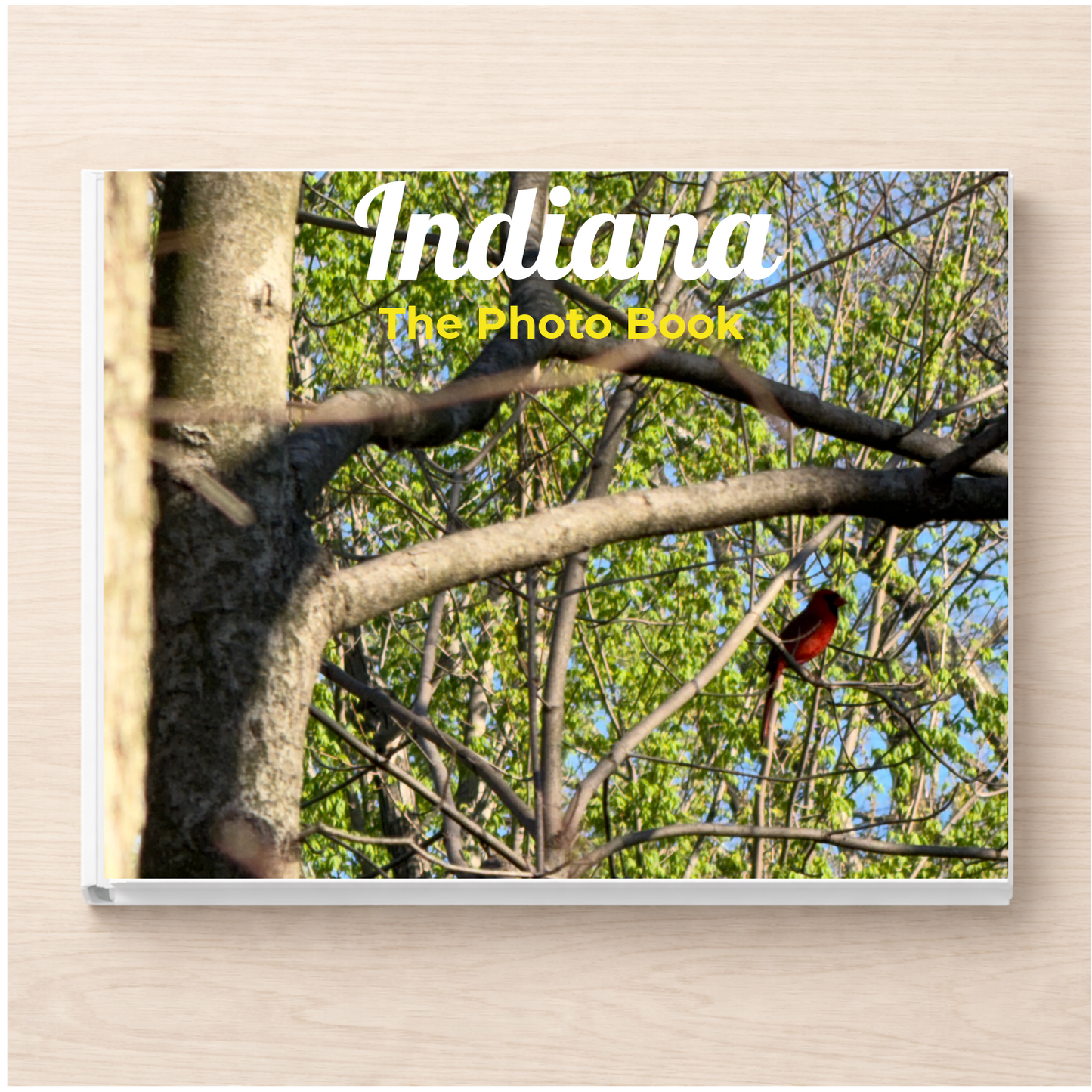 Indiana: The Photo Book