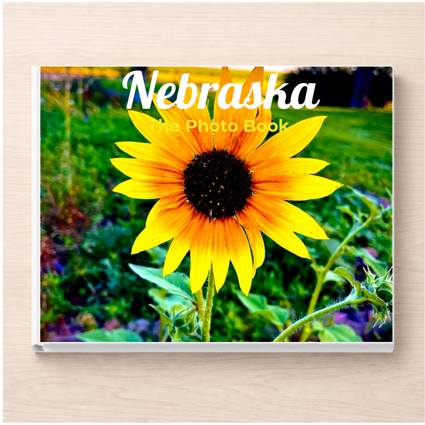 Nebraska: The Photo Book