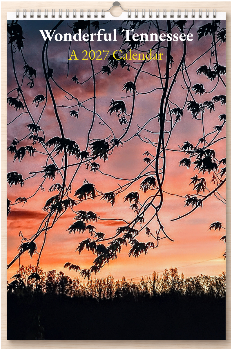 Wonderful Tennessee: A 2027 Calendar
