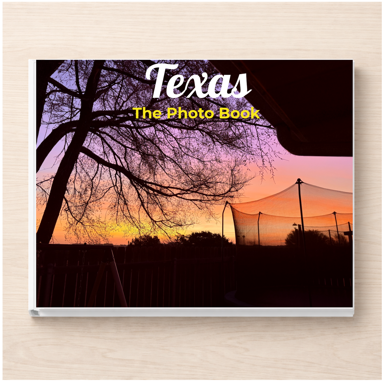 Texas: The Photo Book