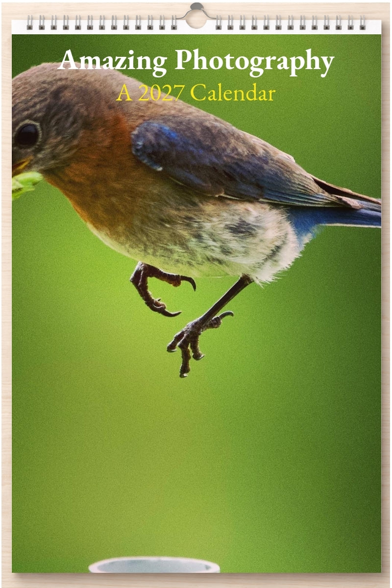 Amazing Photography: A 2027 Calendar