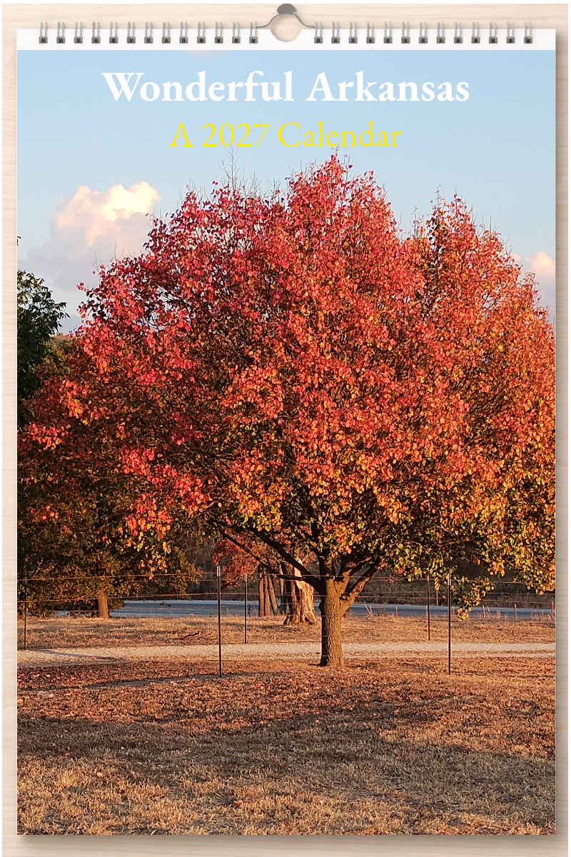Wonderful Arkansas: A 2027 Calendar