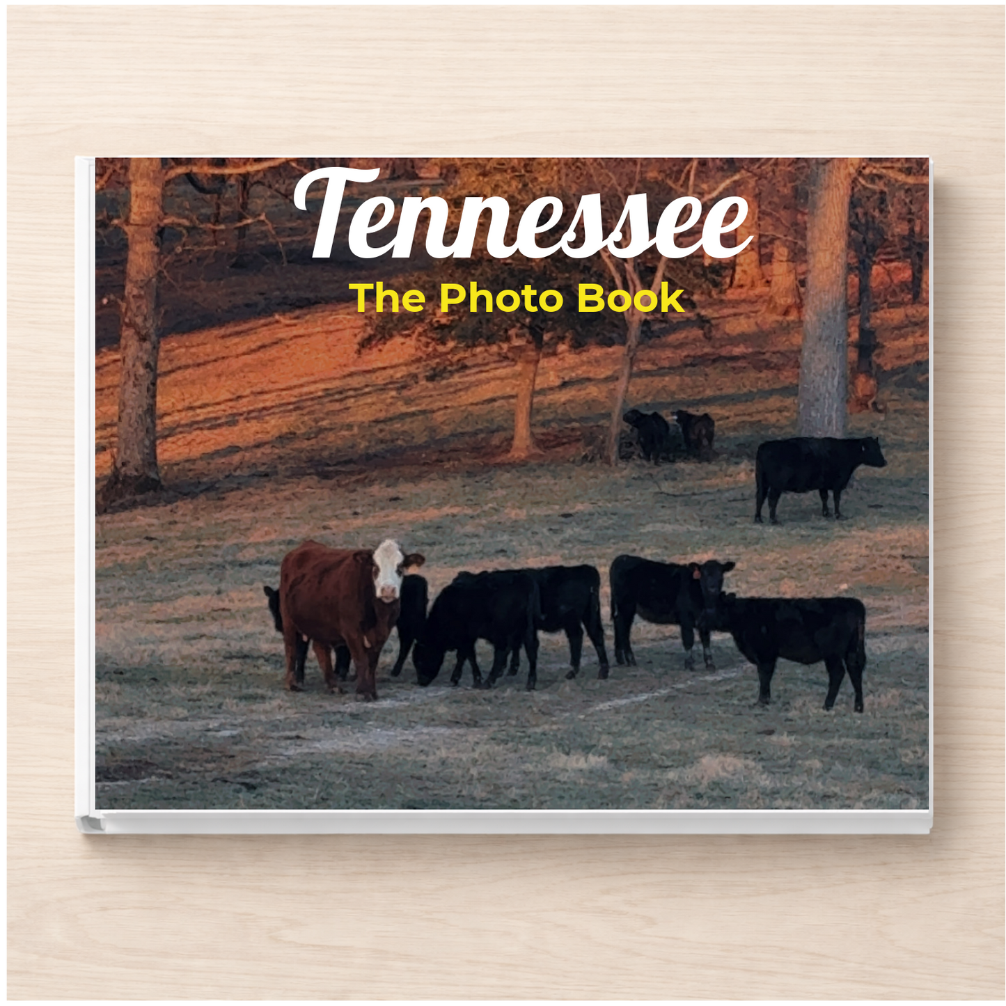 Tennessee: The Photo Book