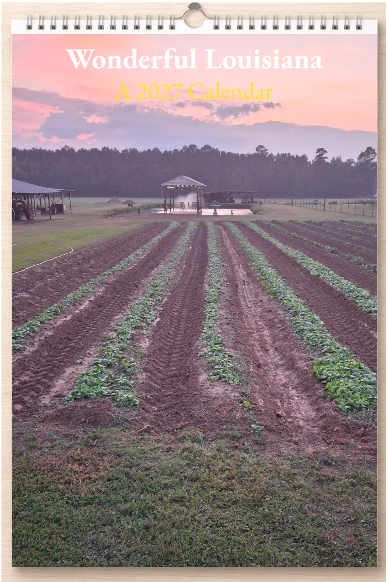 Wonderful Louisiana: A 2027 Calendar
