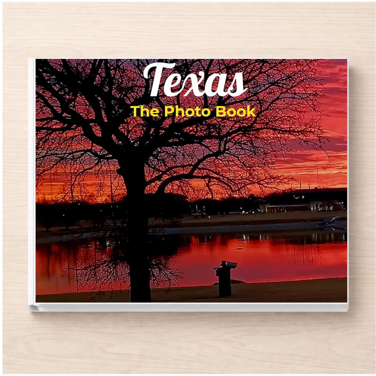 Texas: The Photo Book