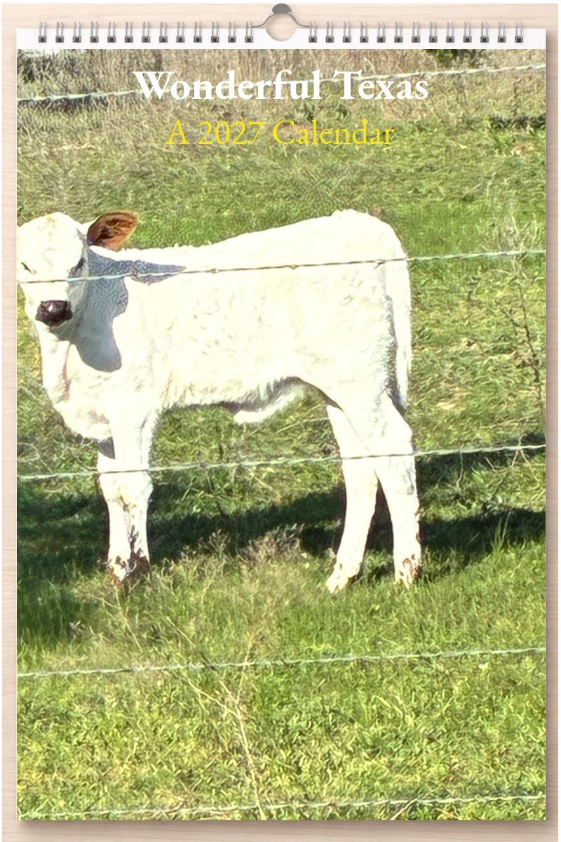 Wonderful Texas: A 2027 Calendar