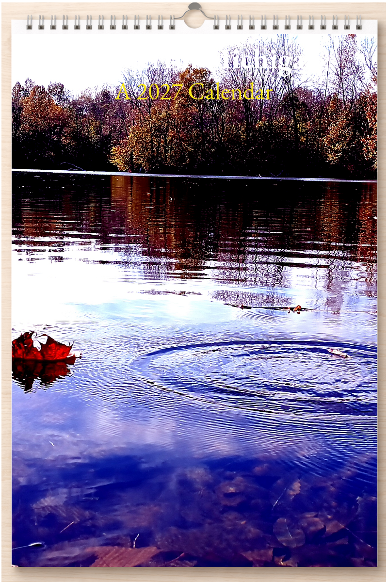Wonderful Michigan: A 2027 Calendar
