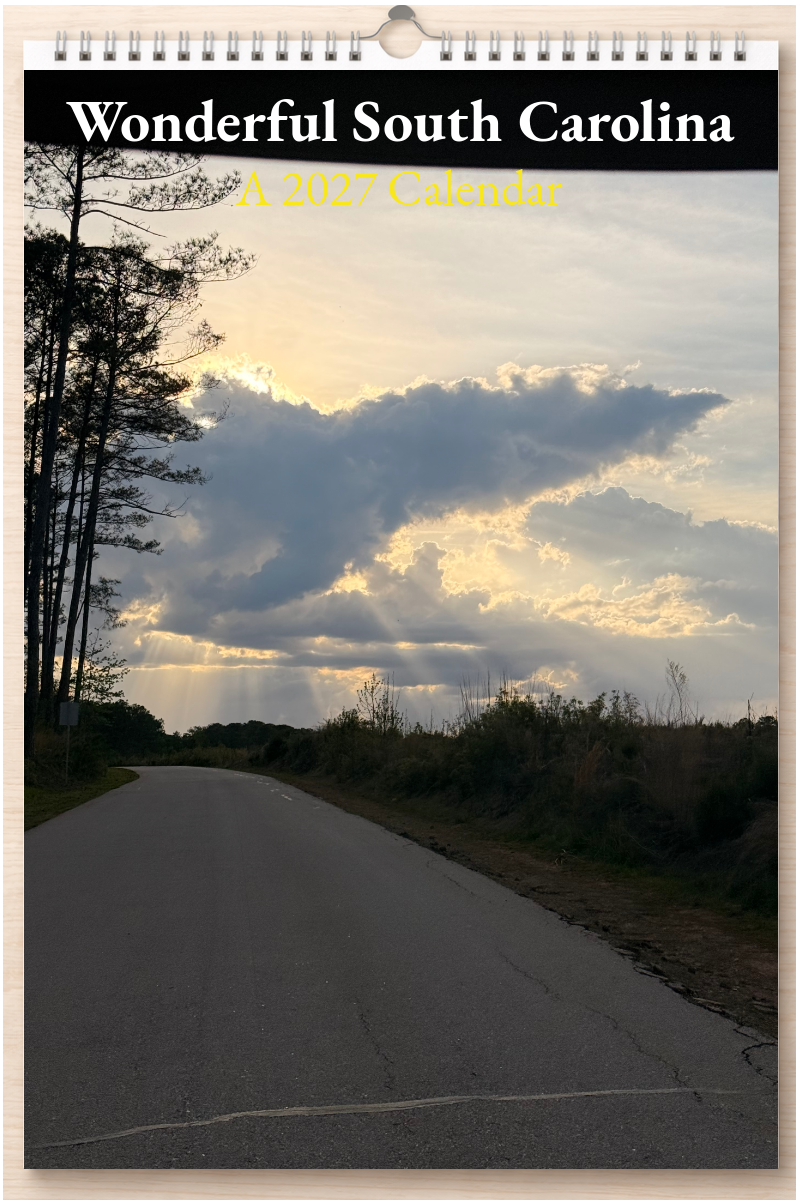 Wonderful South Carolina: A 2027 Calendar