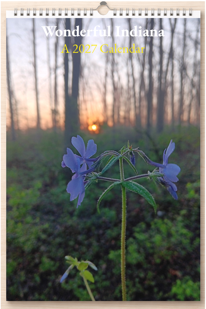 Wonderful Indiana: A 2027 Calendar