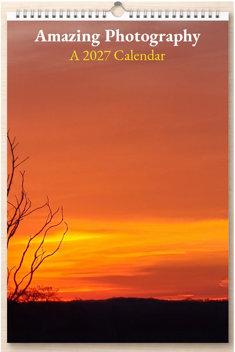 Amazing Photography: A 2027 Calendar
