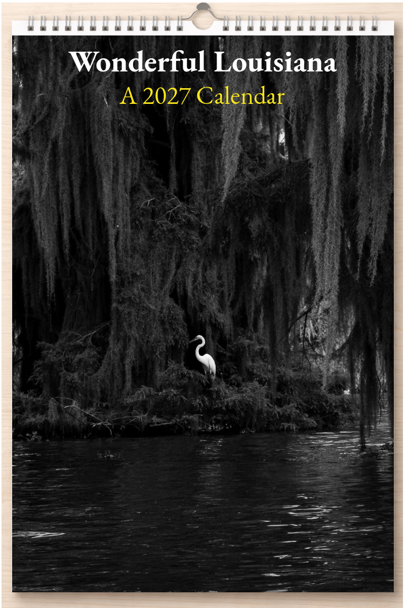 Wonderful Louisiana: A 2027 Calendar