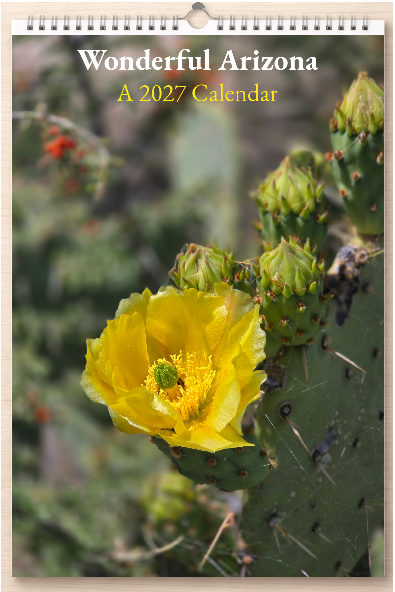 Wonderful Arizona: A 2027 Calendar