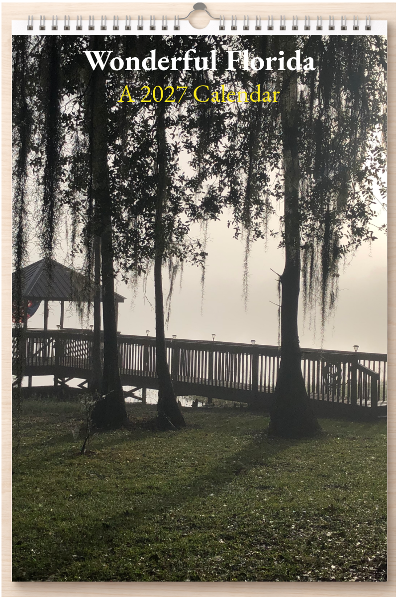 Wonderful Florida: A 2027 Calendar