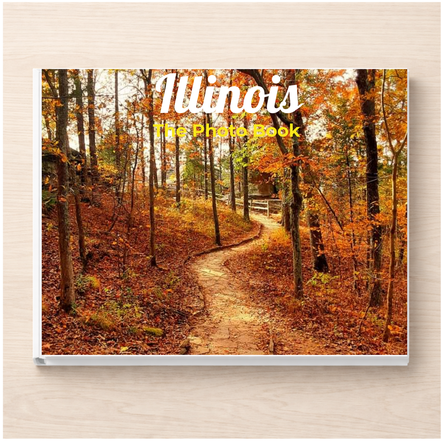 Illinois: The Photo Book
