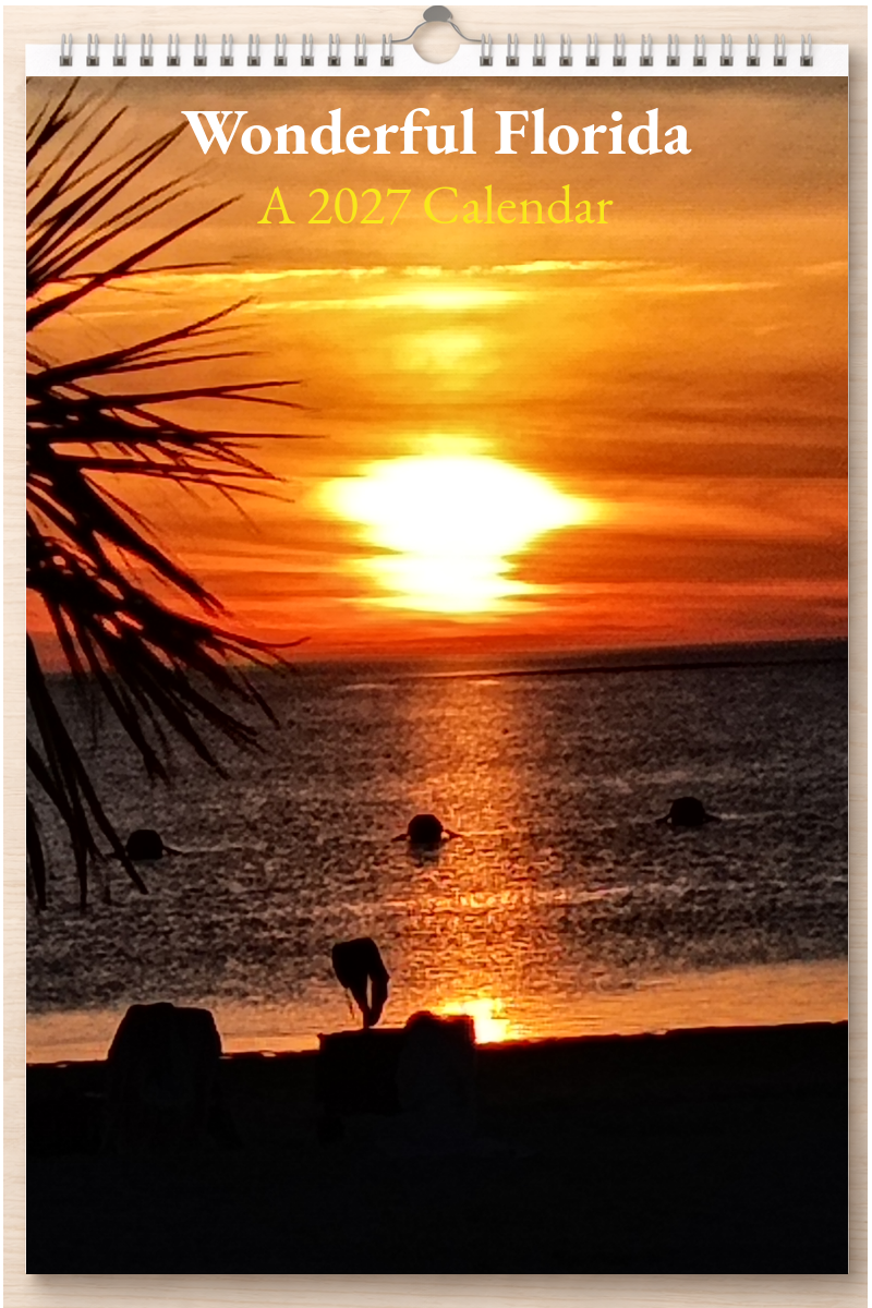 Wonderful Florida: A 2027 Calendar