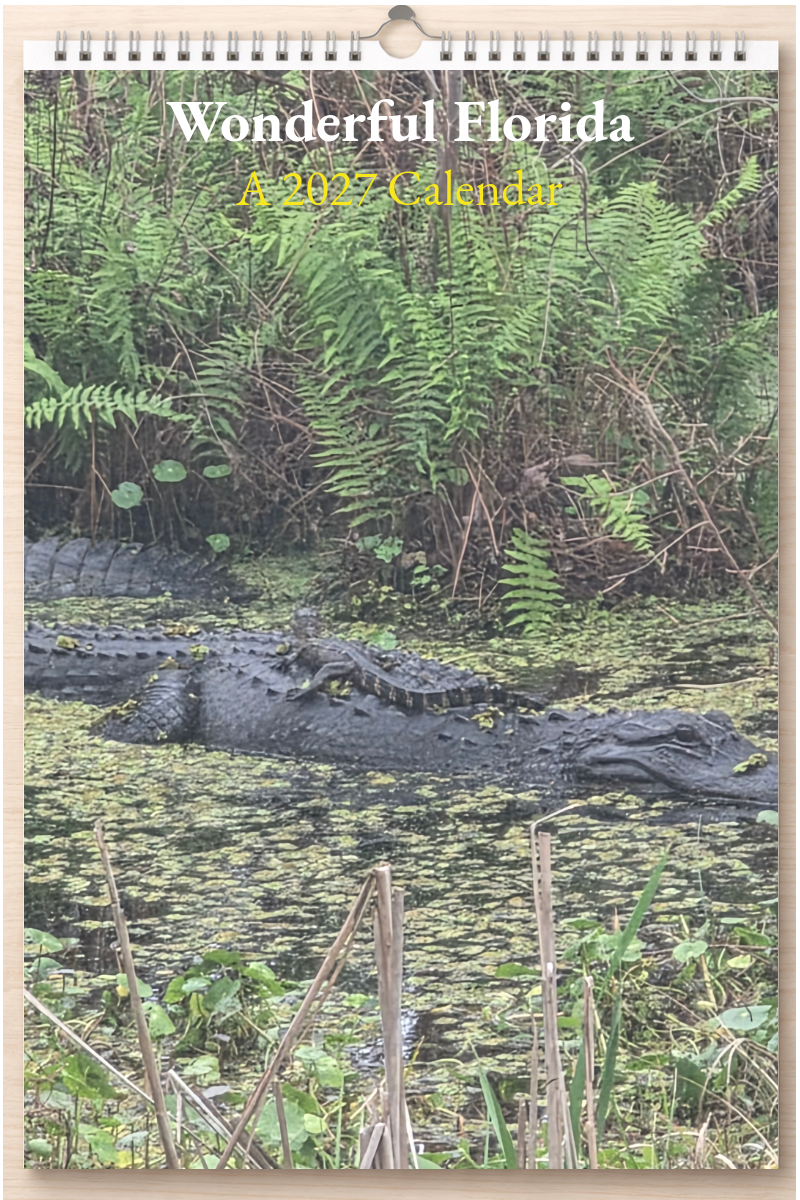 Wonderful Florida: A 2027 Calendar