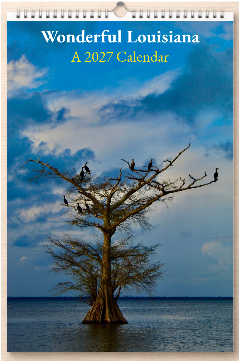 Wonderful Louisiana: A 2027 Calendar