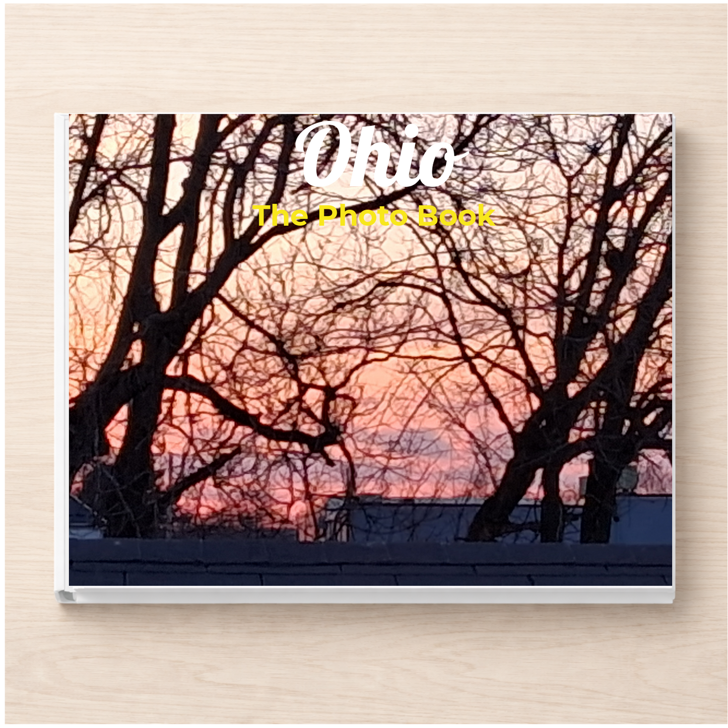 Ohio: The Photo Book