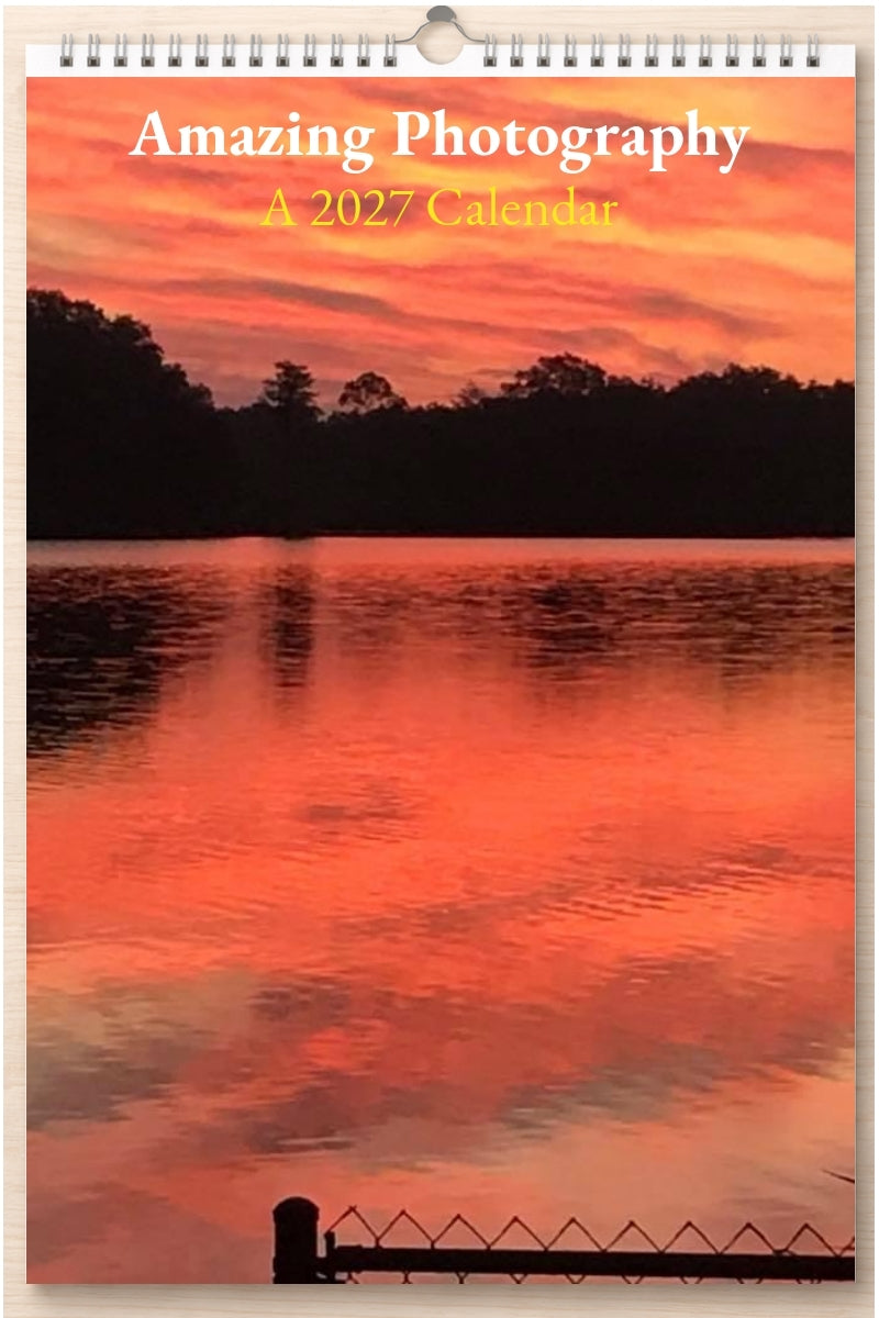 Amazing Photography: A 2027 Calendar
