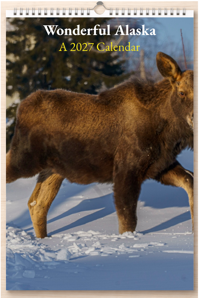 Wonderful Alaska: A 2027 Calendar