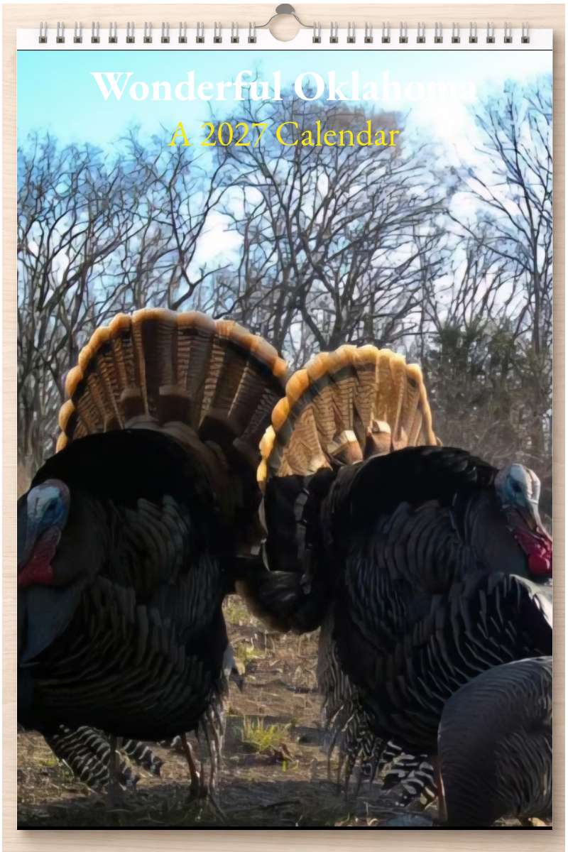 Wonderful Oklahoma: A 2027 Calendar