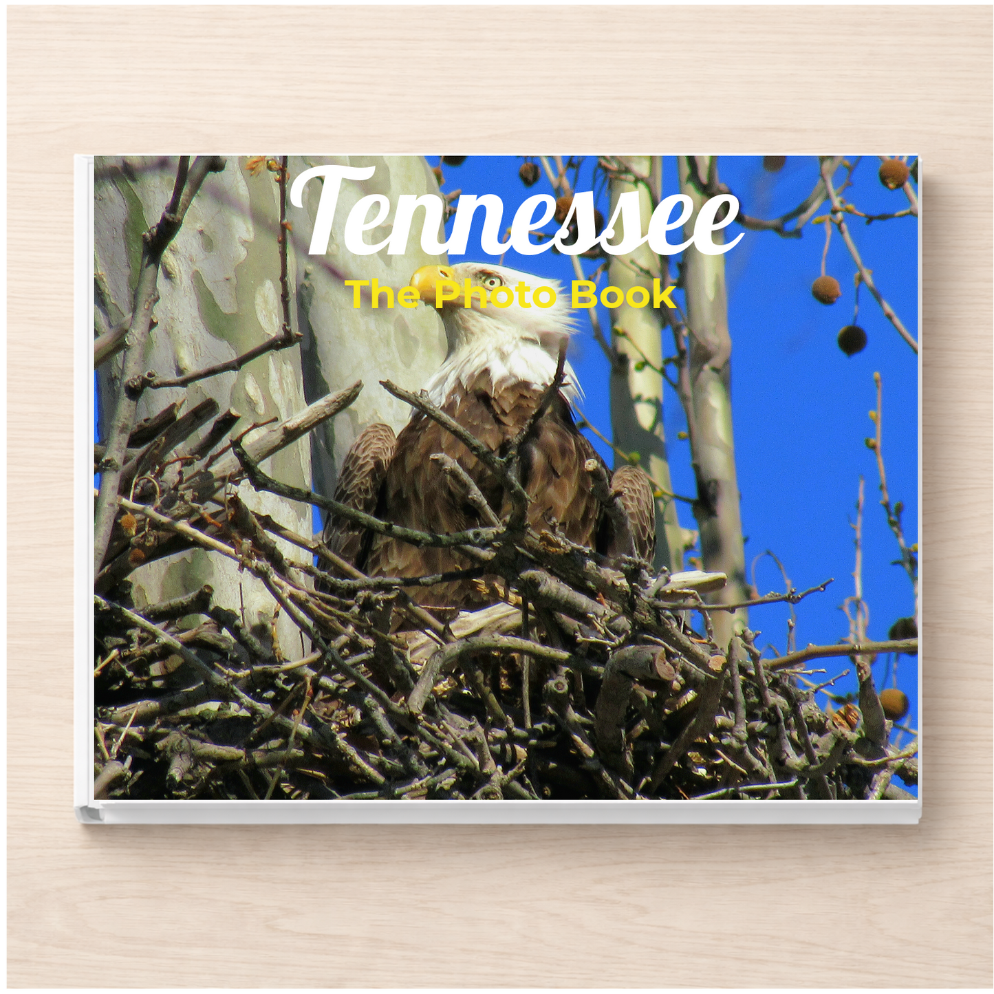 Tennessee: The Photo Book