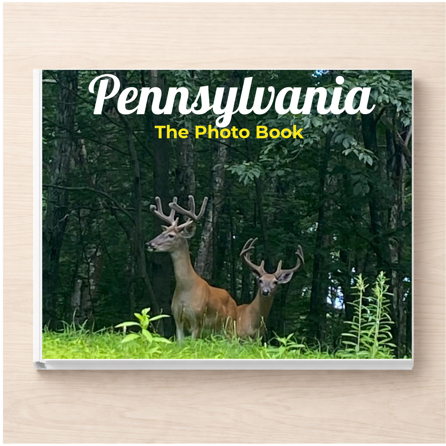Pennsylvania: The Photo Book