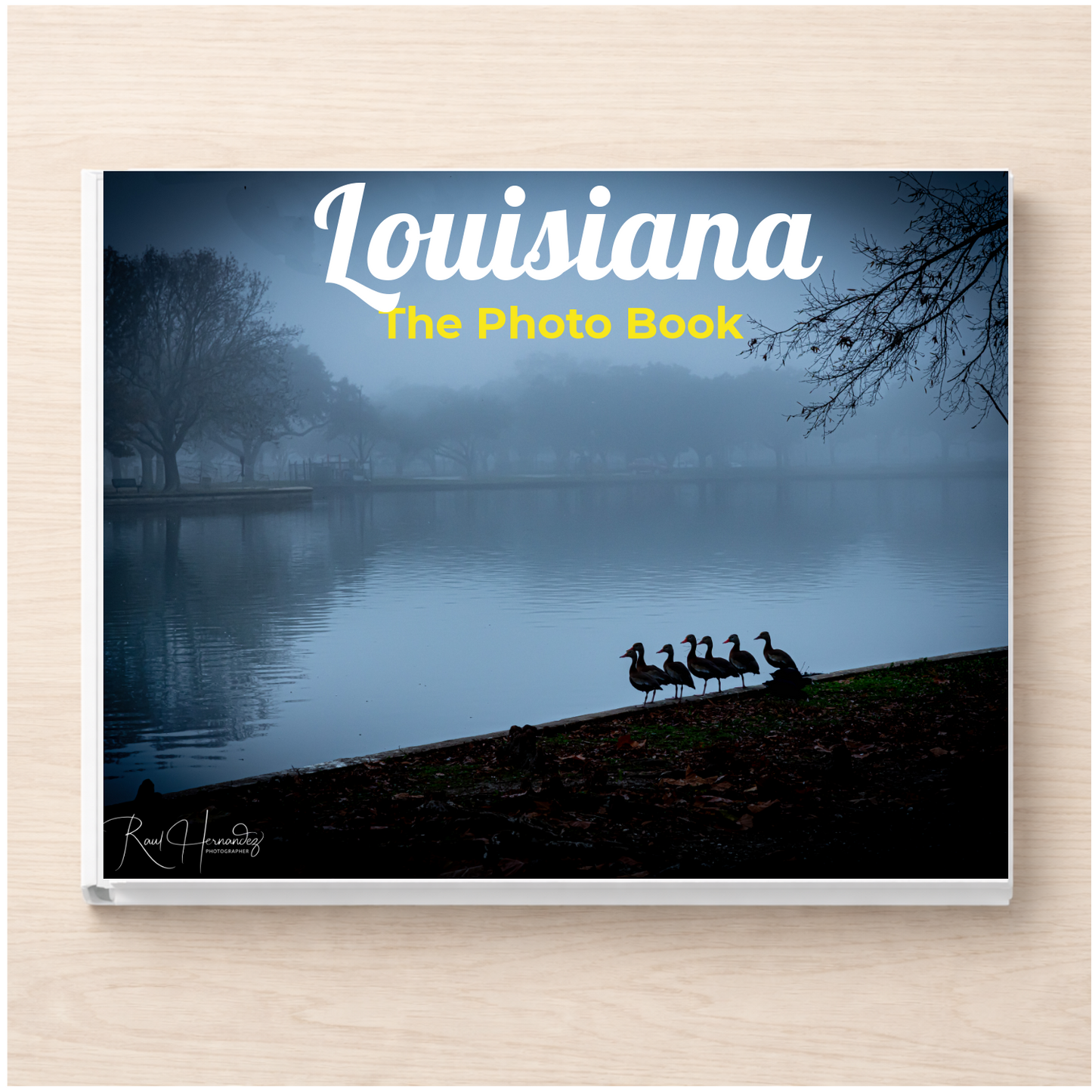 Louisiana: The Photo Book