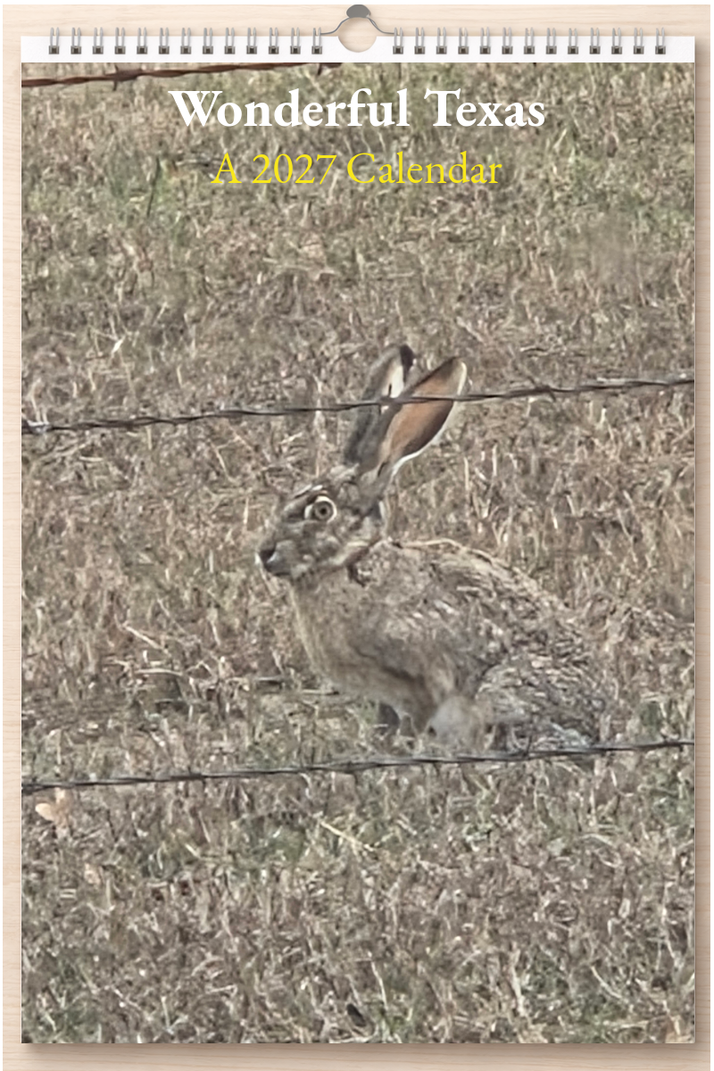 Wonderful Texas: A 2027 Calendar