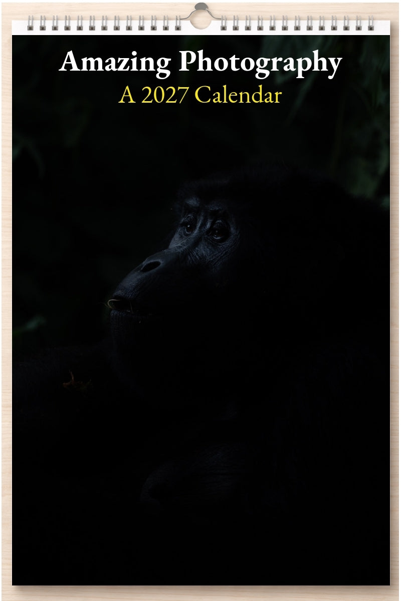 Amazing Photography: A 2027 Calendar