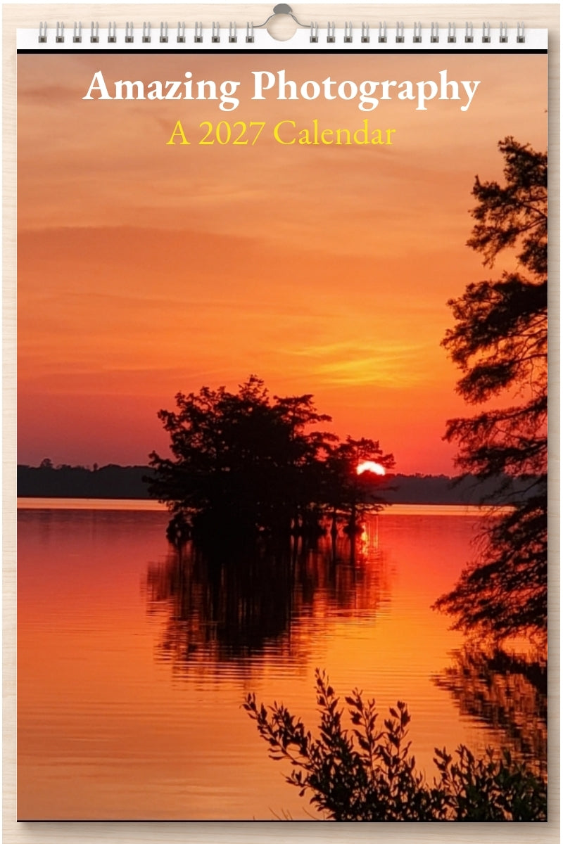 Amazing Photography: A 2027 Calendar