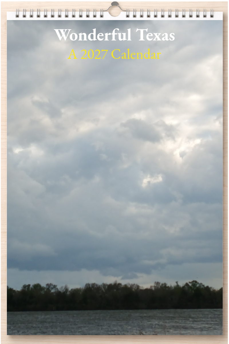 Wonderful Texas: A 2027 Calendar