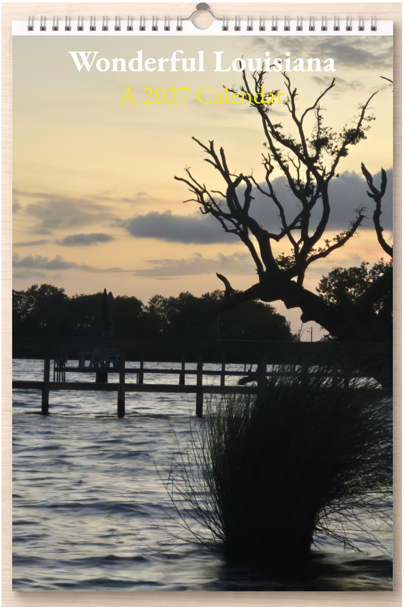 Wonderful Louisiana: A 2027 Calendar