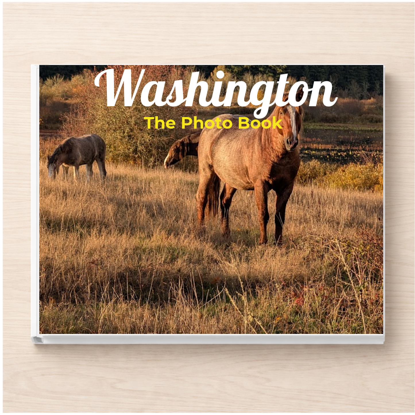 Washington: The Photo Book