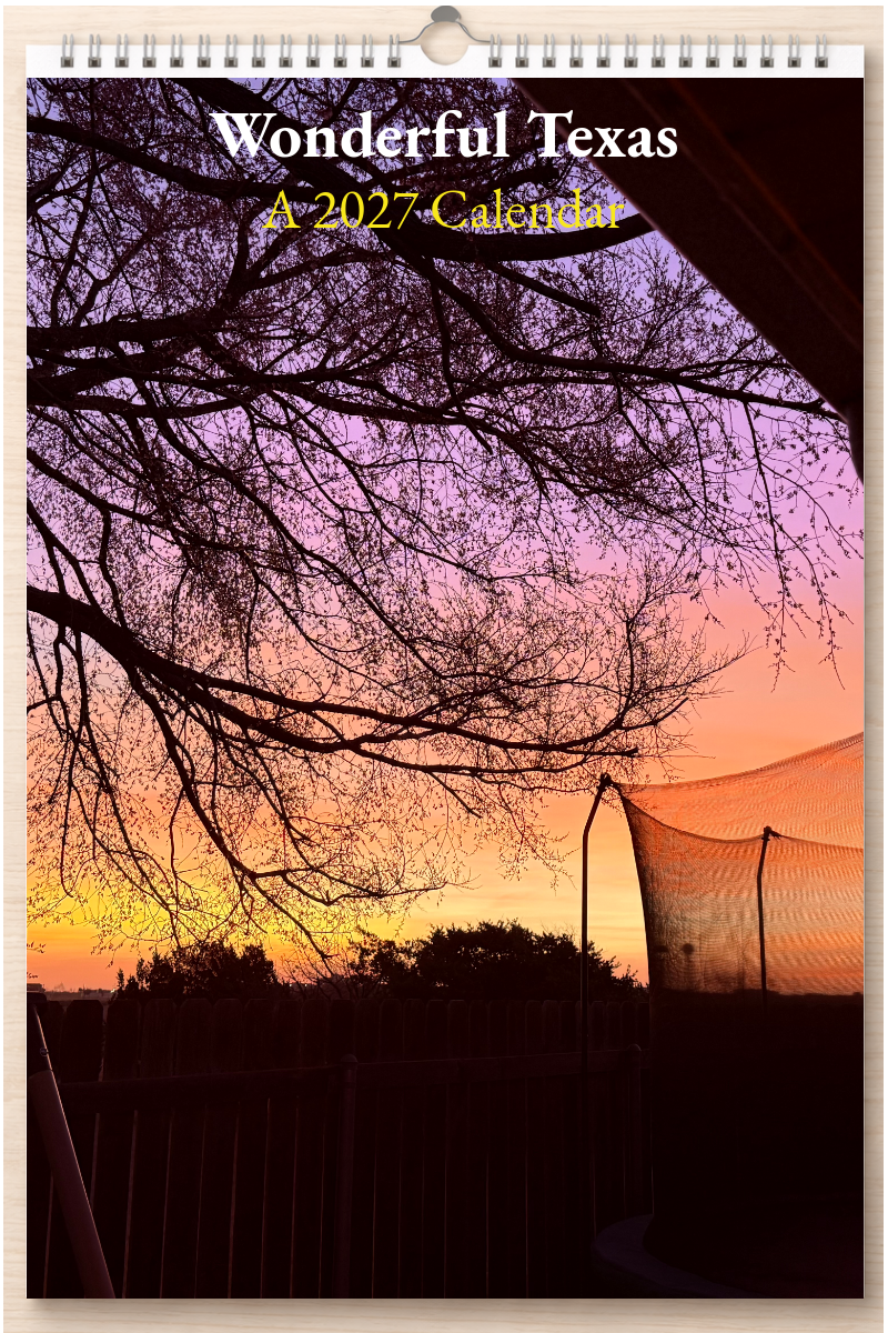 Wonderful Texas: A 2027 Calendar