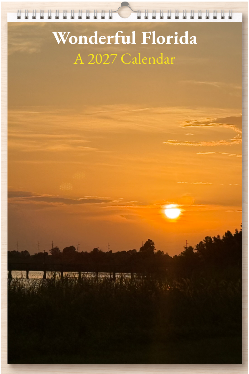 Wonderful Florida: A 2027 Calendar