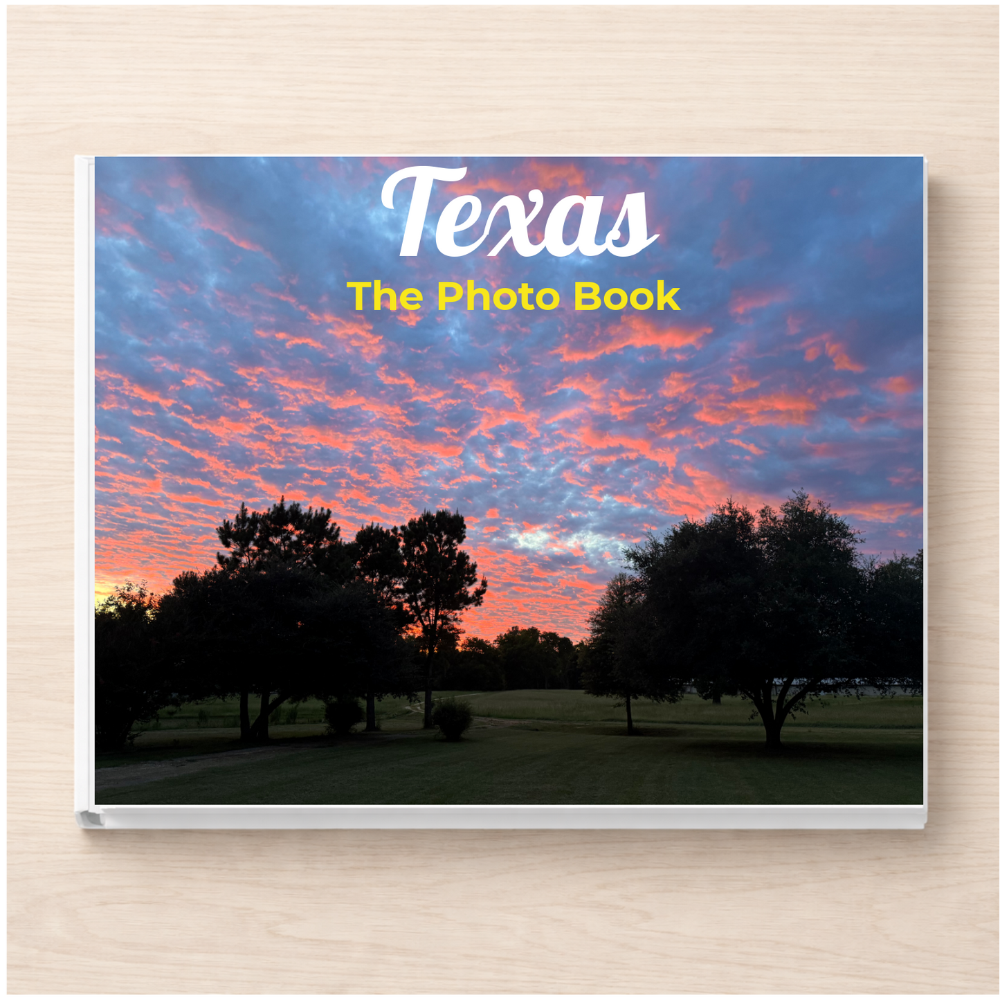 Texas: The Photo Book